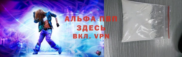 индика Богородск