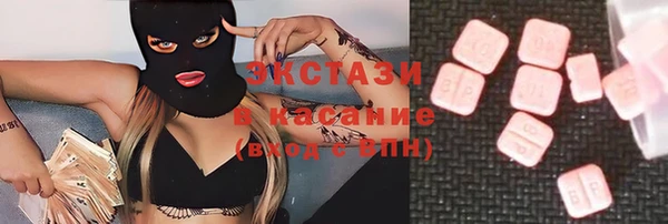 индика Богородск