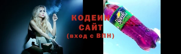индика Богородск