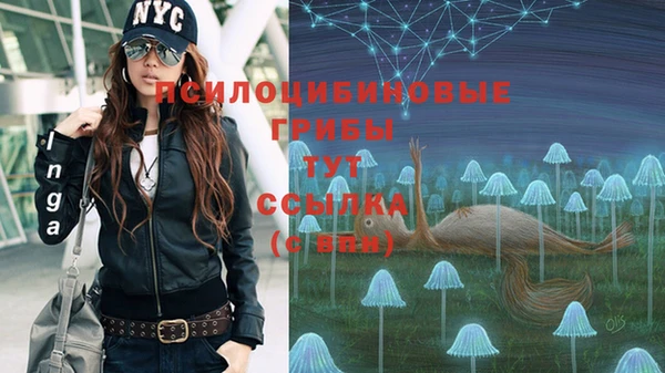 индика Богородск