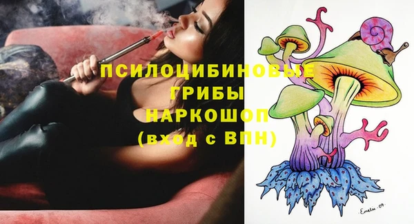 индика Богородск