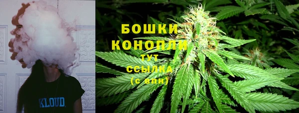спайс Богданович