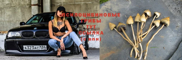 индика Богородск