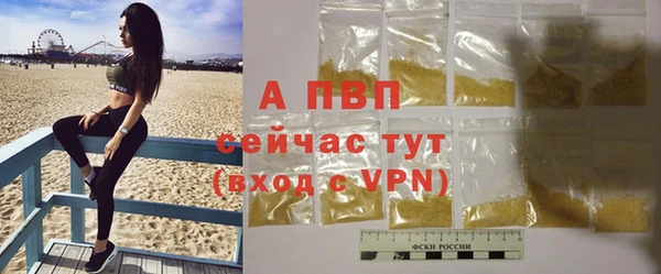 спайс Богданович