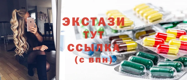 амф Снежногорск