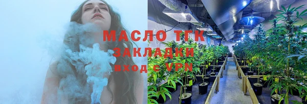 индика Богородск